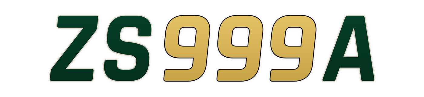 zs999a
